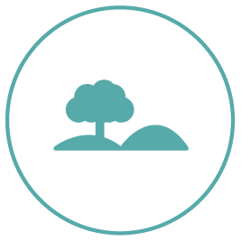 Grounds & Landscaping