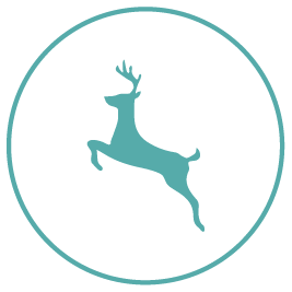 Wildlife